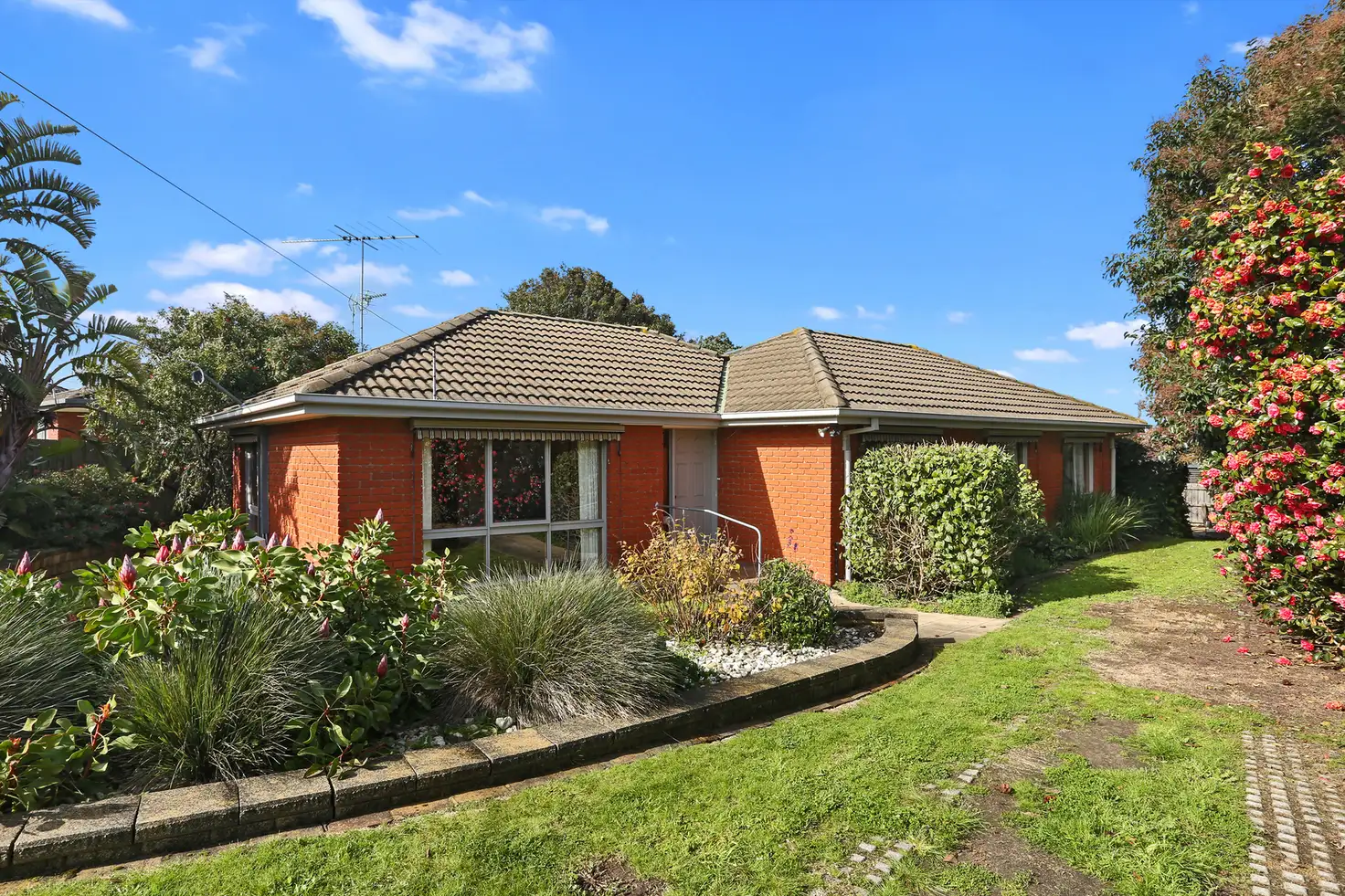 Main view of Homely house listing, 20 Kimberley Avenue, Drysdale VIC 3222