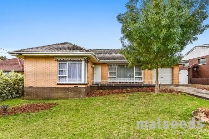 Main view of Homely house listing, 11 Lasiandra Court, Mount Gambier SA 5290