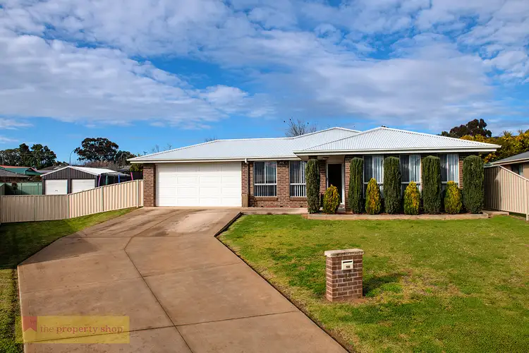 14 Tebbutt Court, Mudgee NSW 2850