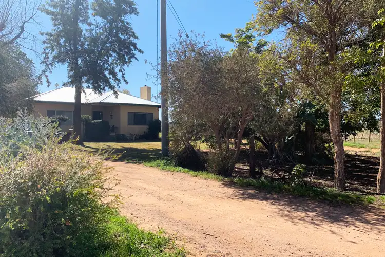 Main view of Homely rural property listing, 20 Moonah Street, Red Cliffs VIC 3496