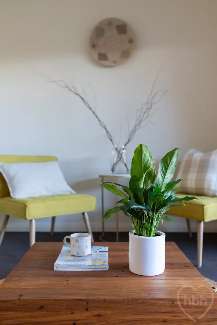 Fourth view of Homely apartment listing, 73/299 Flemington Road, Franklin ACT 2913