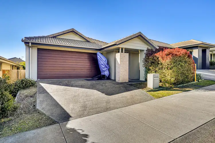11 Grindelia Drive, Springfield Lakes QLD 4300