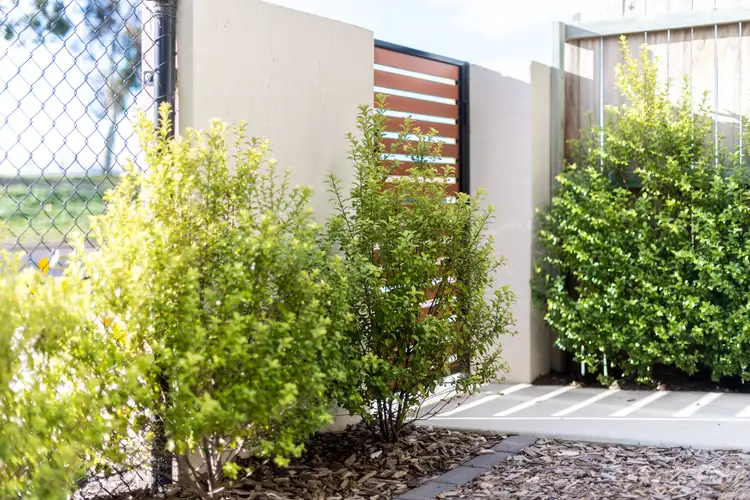 Fourth view of Homely townhouse listing, 63 Jumbuck Crescent, Lawson ACT 2617