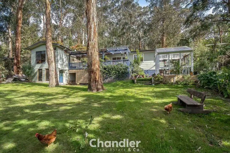 Sixth view of Homely house listing, 23 Arbor Avenue, Belgrave VIC 3160
