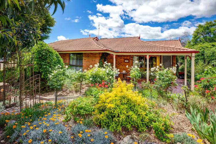 Main view of Homely house listing, 10 McCulloch Crescent, Wodonga VIC 3690