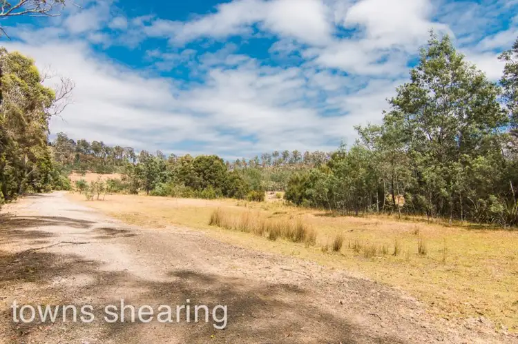 141 Maneys Road, Bridgenorth TAS 7277