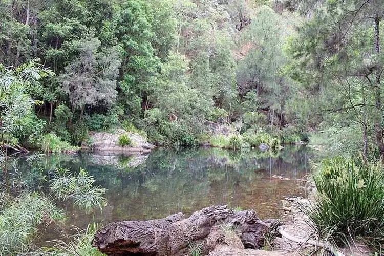 Seventh view of Homely rural property listing, Toorumbee Road, Moparrabah NSW 2440