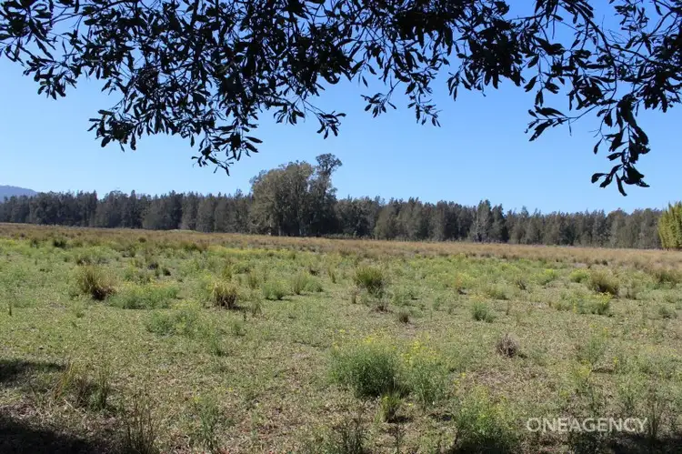 Seventh view of Homely rural property listing, Lot 4 Maria River Road, Crescent Head NSW 2440