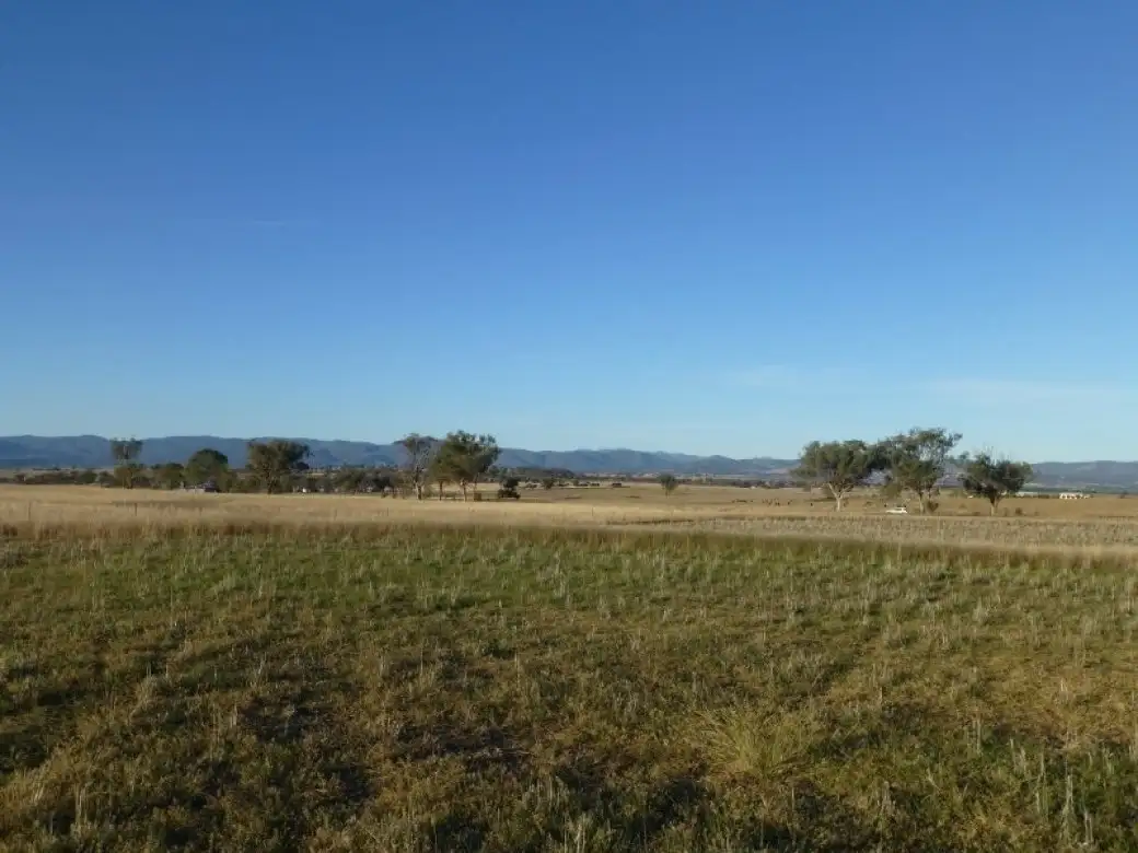 Main view of Homely rural property listing, 228 Jenners Lane, Winton NSW 2344