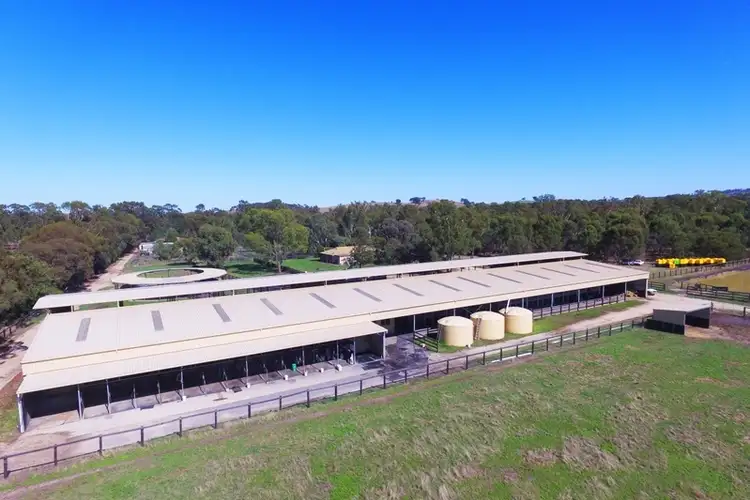 Fourth view of Homely rural property listing, 140 Hall Lane, Whiteheads Creek VIC 3660