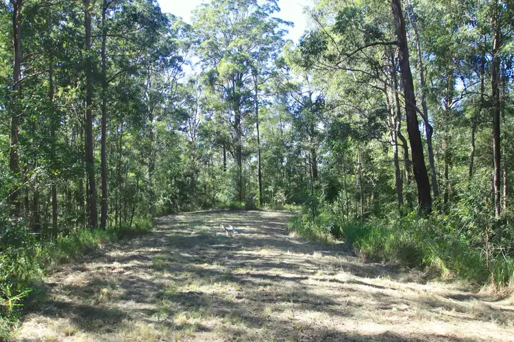 Fourth view of Homely rural property listing, 30/1157 Stony Chute Road, Nimbin NSW 2480