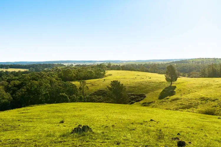 Main view of Homely rural property listing, 1800 Canyonleigh Road, Canyonleigh NSW 2577