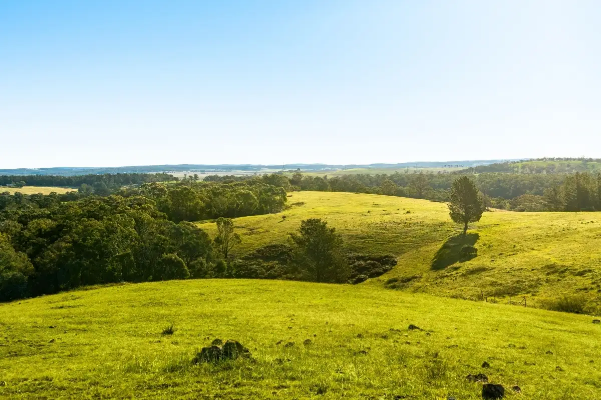 Main view of Homely rural property listing, 1800 Canyonleigh Road, Canyonleigh NSW 2577
