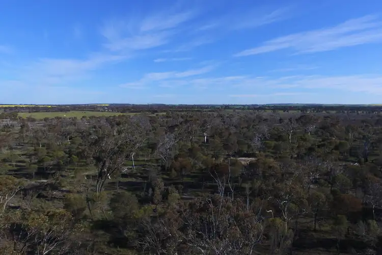 Third view of Homely rural property listing, LOT 8821 Police Pools Road, Katanning WA 6317