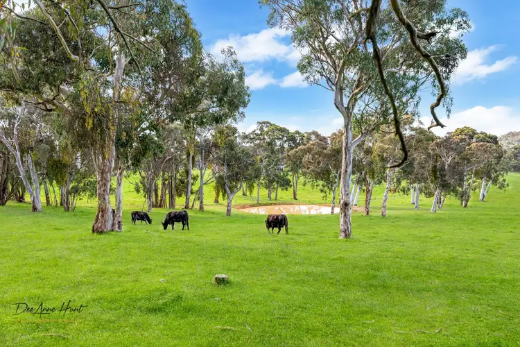 Fifth view of Homely rural property listing, 934 Strathalbyn Road, Biggs Flat SA 5153