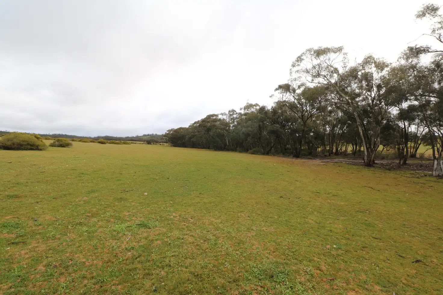 Main view of Homely rural property listing, CA 8 Sec15 Calder Highway, Wedderburn VIC 3518