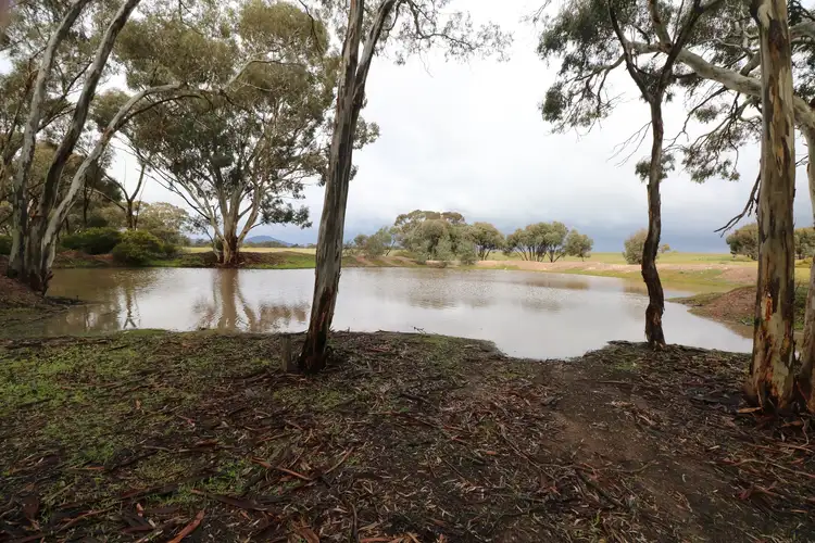 Second view of Homely rural property listing, CA 8 Sec15 Calder Highway, Wedderburn VIC 3518