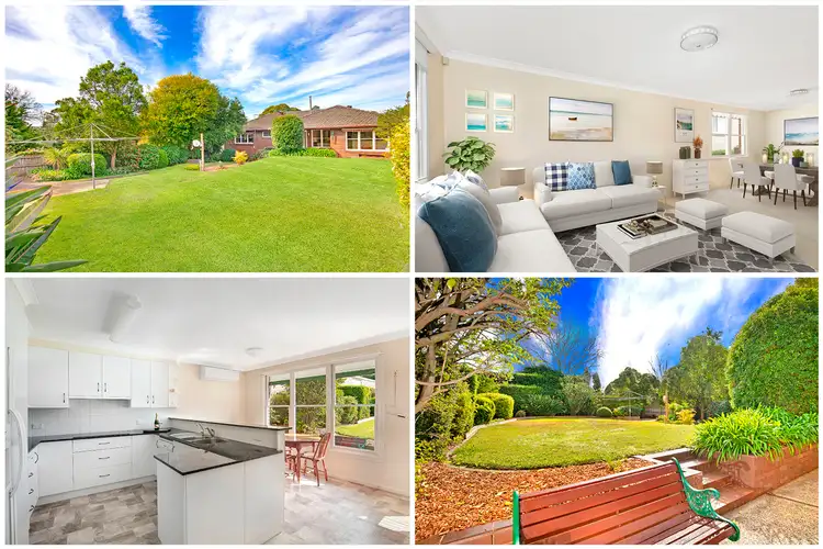 56 Cook Street, Forestville NSW 2087