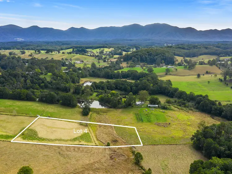 Third view of Homely rural property listing, LOT 2, 150 Hydes Creek Road, Bellingen NSW 2454