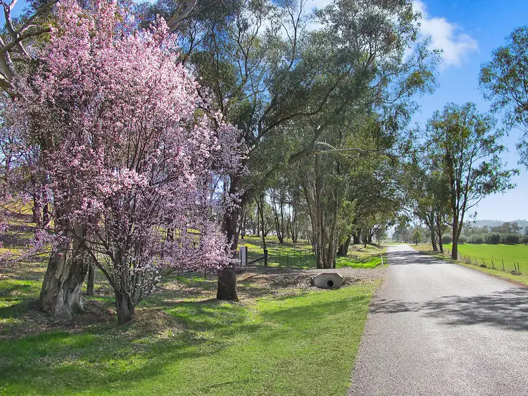 LOT 4, 206 Lesters Lane, Piambong NSW 2850