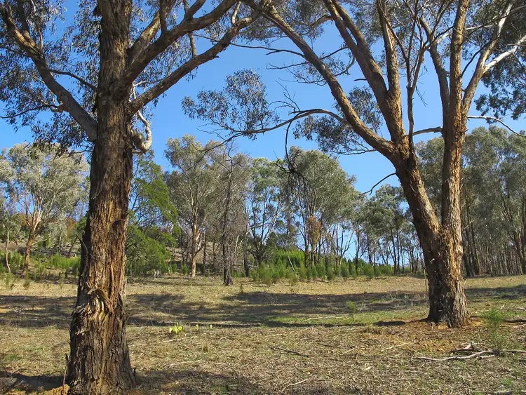 Third view of Homely rural property listing, LOT 4, 206 Lesters Lane, Piambong NSW 2850