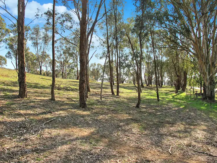 Fourth view of Homely rural property listing, LOT 4, 206 Lesters Lane, Piambong NSW 2850