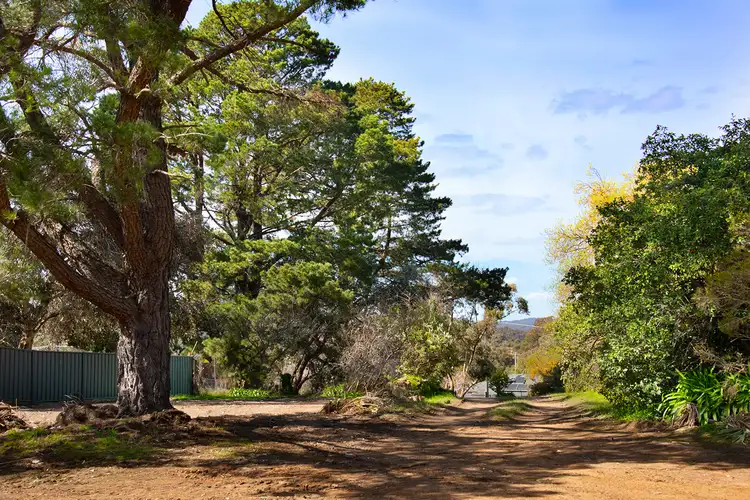 Third view of Homely house listing, Lot 1/31 Eureka Street, Chewton VIC 3451