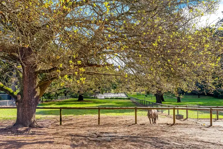 Fourth view of Homely rural property listing, 70 Cricklewood Road, Heathfield SA 5153