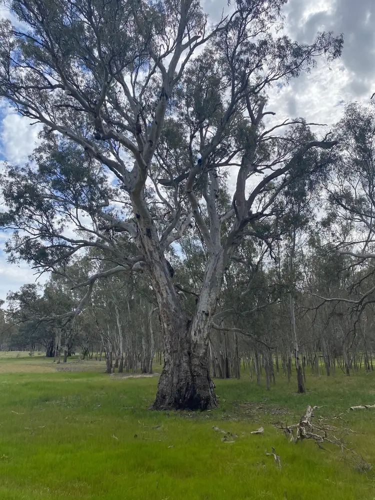 Fourth view of Homely land listing, Fulham Road, Torrumbarry VIC 3562