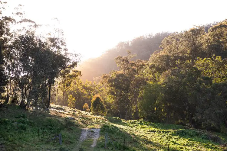 Third view of Homely rural property listing, 136 Totnes Valley Road, Mudgee NSW 2850