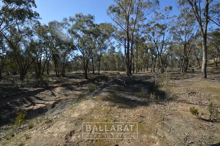 Seventh view of Homely land listing, 246 Puzzle Flat Road, Bealiba VIC 3475
