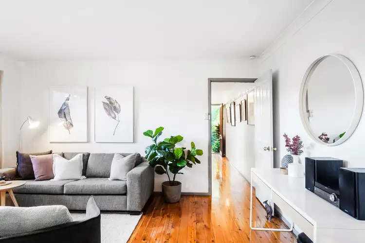 72 Wells Street, Annandale NSW 2038