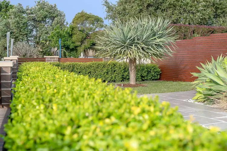 Third view of Homely house listing, 67 Rogers Street, Roselands NSW 2196