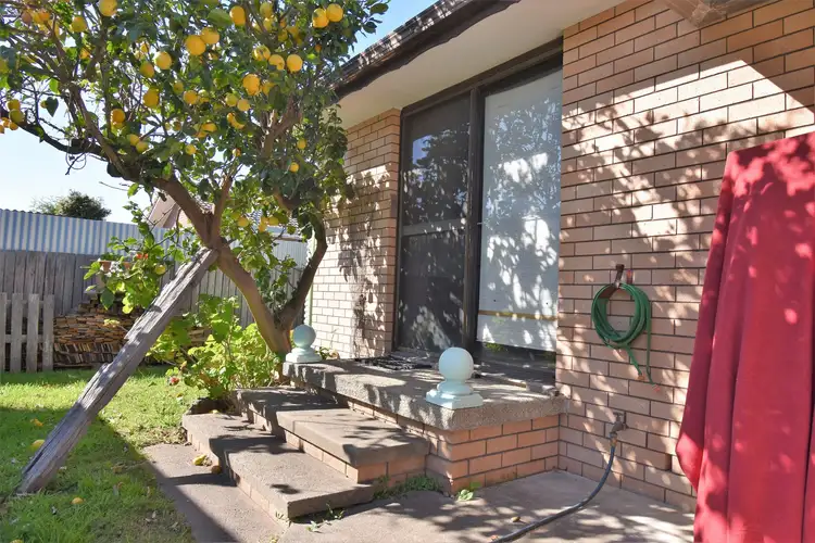 Seventh view of Homely house listing, 33 Mill Street, Bermagui NSW 2546