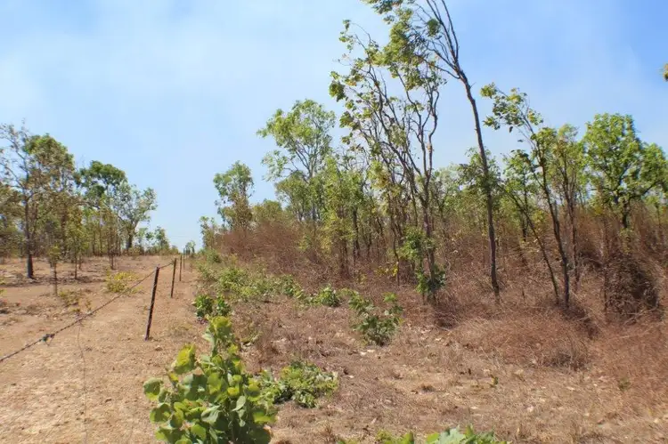 Fourth view of Homely rural property listing, 225 Wright Road, Marrakai NT 822