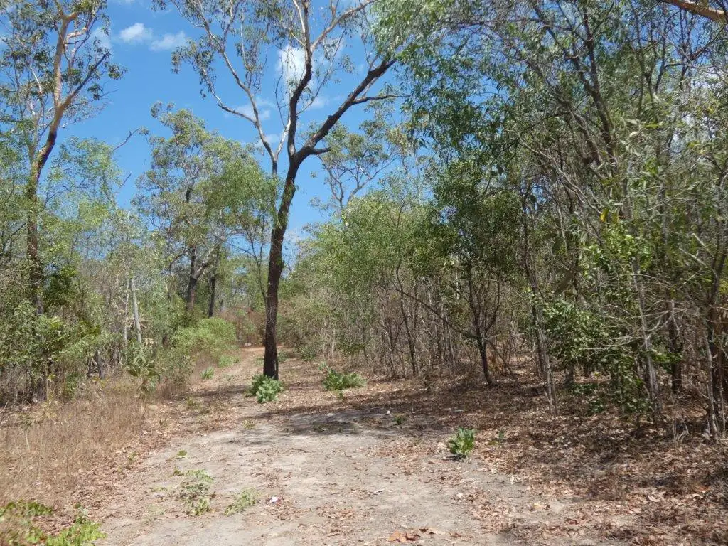 Main view of Homely land listing, LOT 3323, 16 Andreas Avenue, Dundee Beach NT 840