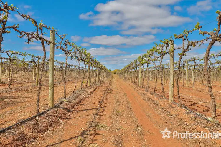 Fifth view of Homely land listing, Block/104 Devenport Street, Dareton NSW 2717