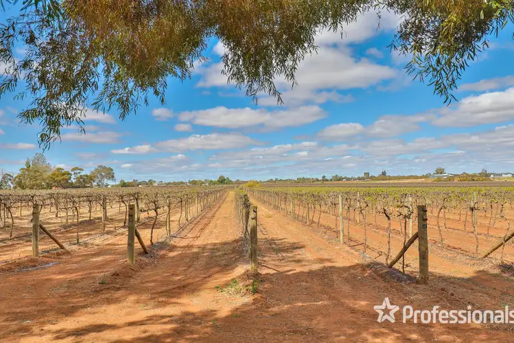 Sixth view of Homely land listing, Block/104 Devenport Street, Dareton NSW 2717