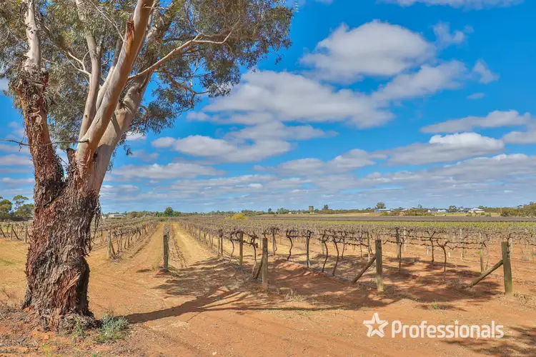 Seventh view of Homely land listing, Block/104 Devenport Street, Dareton NSW 2717