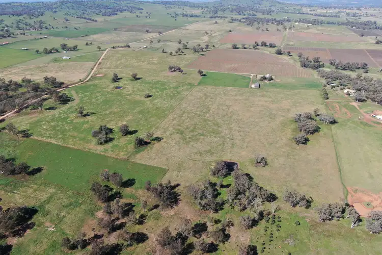 Third view of Homely rural property listing, 327 Springfield Lane, Mudgee NSW 2850