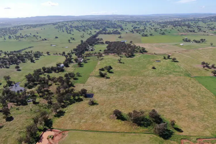 Seventh view of Homely rural property listing, 327 Springfield Lane, Mudgee NSW 2850