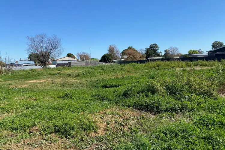 17 Mingelo Street, Narromine NSW 2821