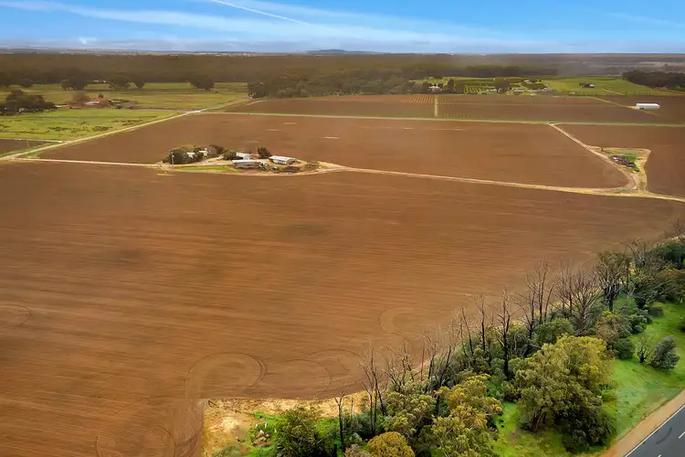 Third view of Homely rural property listing, 99 Pullar Road, Cobram VIC 3644