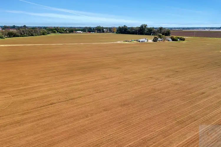 Fourth view of Homely rural property listing, 99 Pullar Road, Cobram VIC 3644