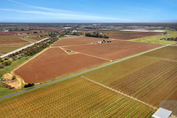 Seventh view of Homely rural property listing, 99 Pullar Road, Cobram VIC 3644