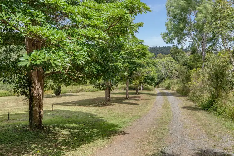 Fifth view of Homely house listing, 141 Bates Road, Strathdickie QLD 4800