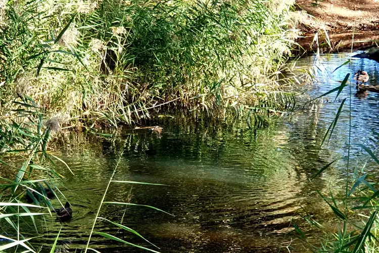 Seventh view of Homely land listing, 14A Radiata Road, Highbury SA 5089