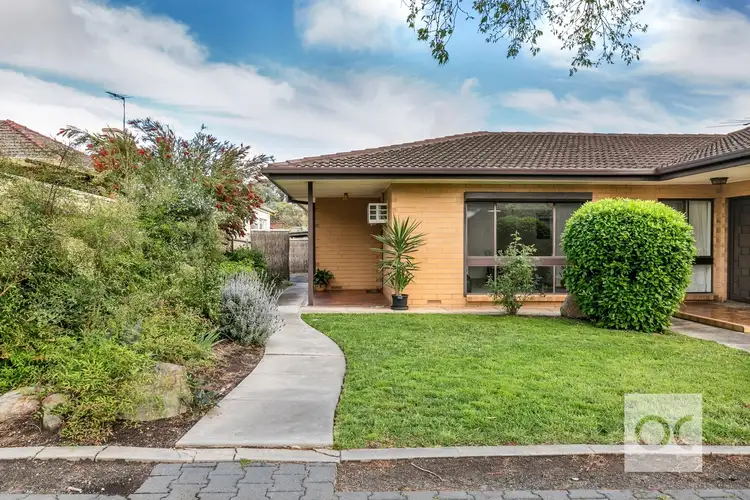 4/19 Kitchener Street, Netherby SA 5062