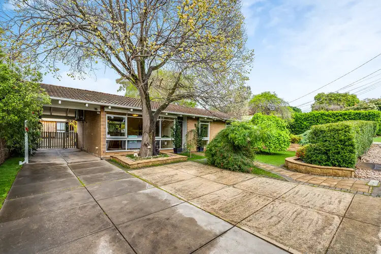 43 Awoonga Road, Highbury SA 5089