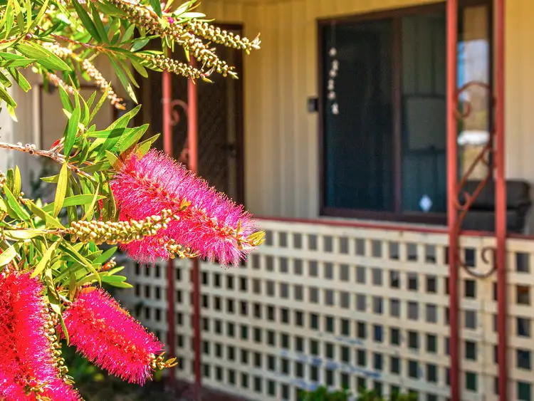 Fifth view of Homely house listing, 3 Linville Street, Falcon WA 6210